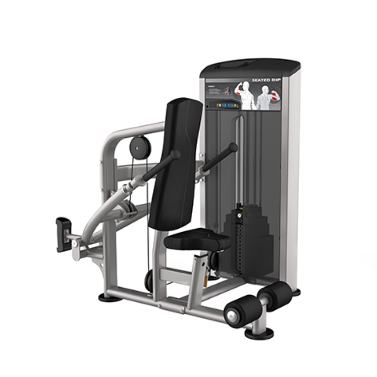 Poza cu Aparat Presa Triceps IE 9517