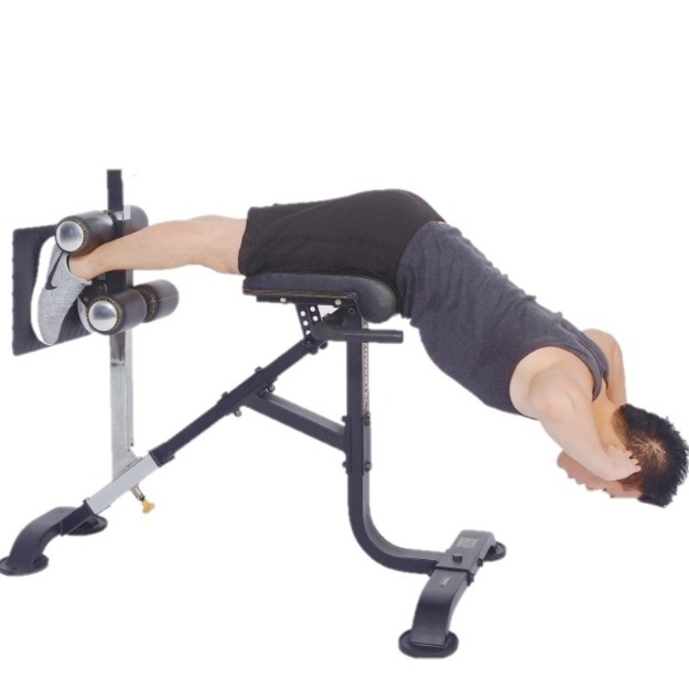 Poza cu Aparat Hiperextensii Spate / Abdomen P-HC20 Powertec