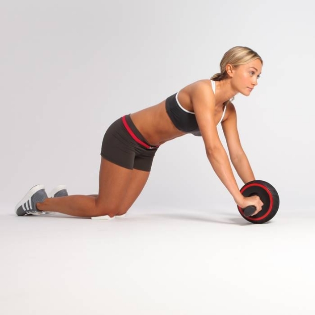 Poza cu ROATA ABDOMENE IRON GYM SPEED ABS