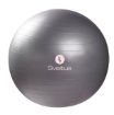 Poza cu Minge fitness 65cm, rosu, verde, gri, Sveltus, 1 kg