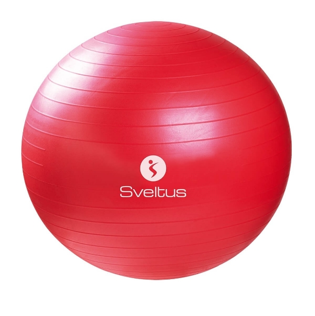 Poza cu Minge fitness 65cm, rosu, verde, gri, Sveltus, 1 kg