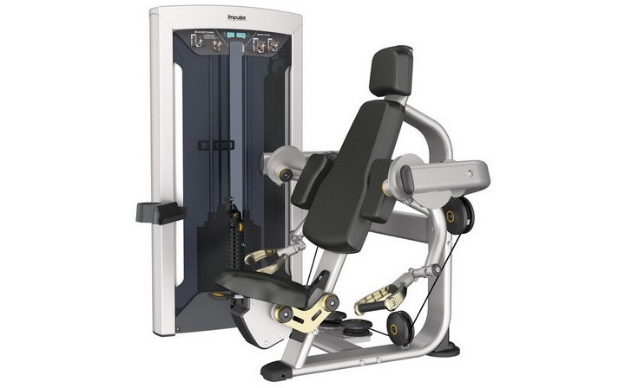 Poza cu Aparat Biceps FE 9703 Impulse Fitness