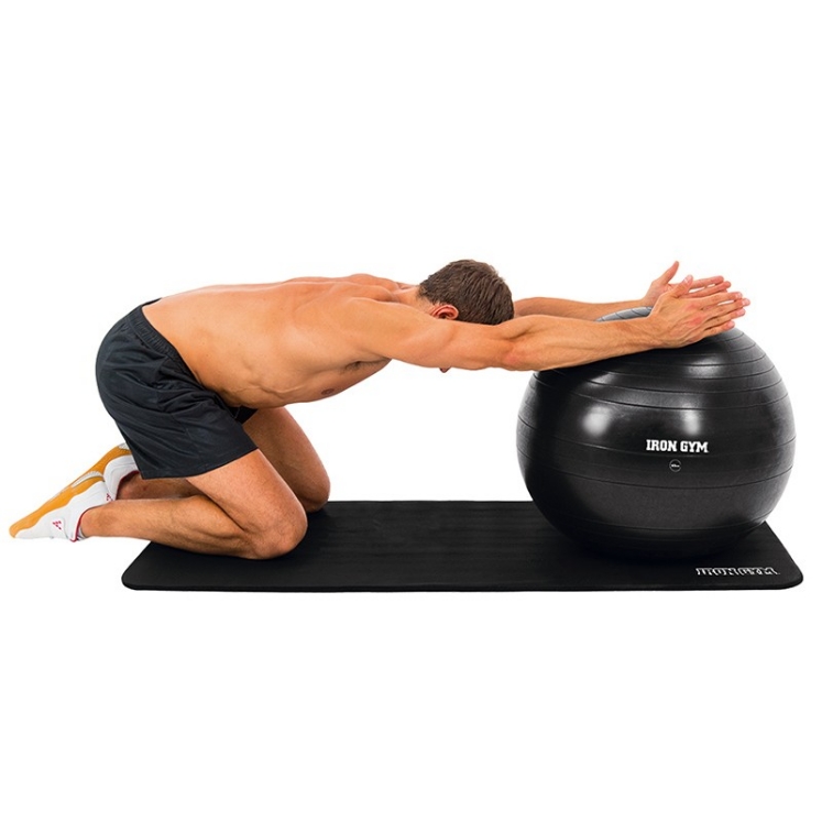 Poza cu Minge aerobic 55 cm + pompa Iron Gym Essential