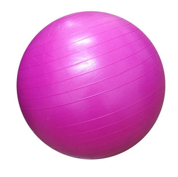 Poza cu Minge de aerobic pentru sala 55cm DY-GB-070-55