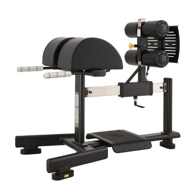 Poza cu Aparat GHD (Glute Ham Developer) XH-002, MS Fitness