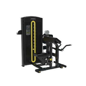 Poza cu Aparat dual Biceps/Triceps, XLY-0607, MS Fitness