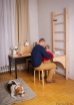 Poza cu Spalier BenchK 112, din lemn masiv de fag cu bara de tractiuni si masa birou