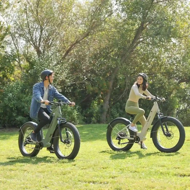 Poza cu Bicicleta electrica Allroad 2-in-1 Fat Tire, MorphRover, Freebeat