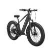 Poza cu Bicicleta electrica Allroad 2-in-1 Fat Tire, MorphRover, Freebeat