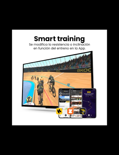 BANDA DE ALERGAT RS-10, SALTER - 4 | YEO