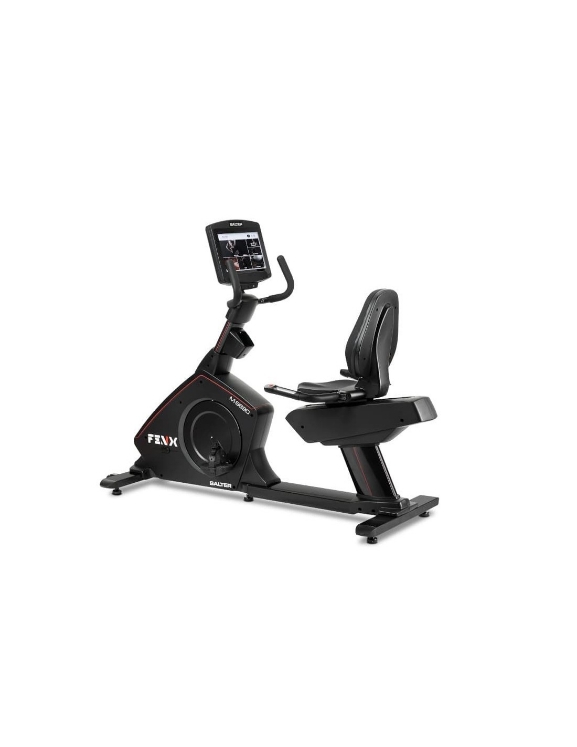 Poza cu Bicicleta orizontala profesionala, FENX, SALTER