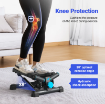 Poza cu Classic Mini Stepper, Merach