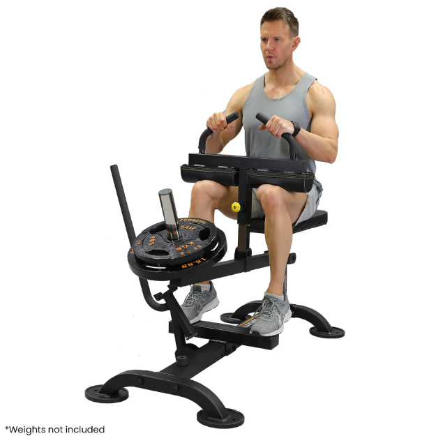 Poza cu Aparat Gambe din sezut P-SCR, Powertec