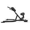 Poza cu Bancă Lombari pentru hiperextensia spatelui FBC12, Bodytone