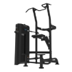 Poza cu Aparat Tracțini/Triceps Asistat FH13, Bodytone