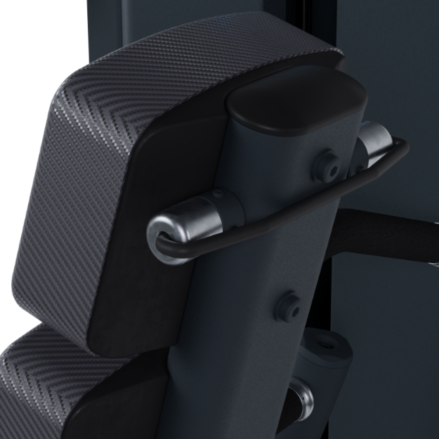 Poza cu Aparat Presă Triceps FH32, Bodytone
