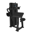 Poza cu Aparat Triceps FB31v2, Bodytone
