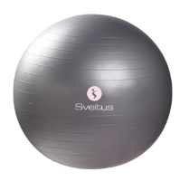 Poza cu Minge fitness 65cm, gri, Sveltus