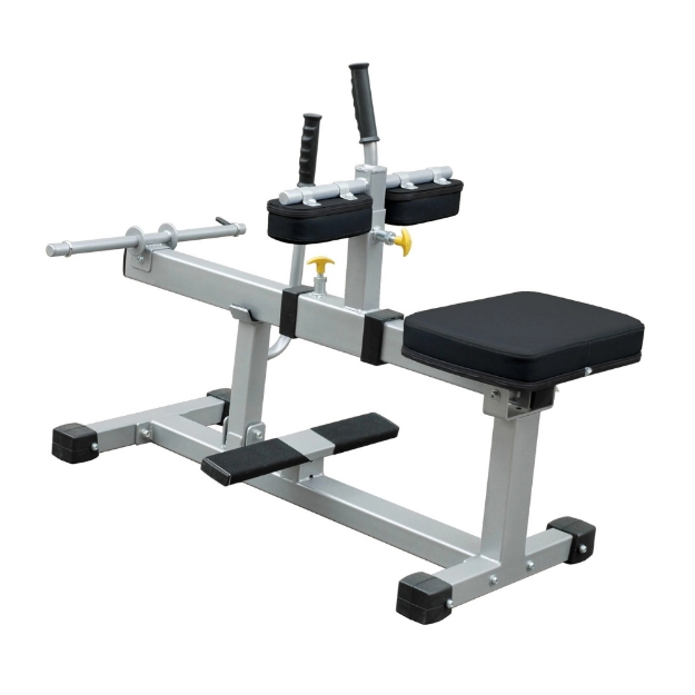 Poza cu Aparat gambe din sezut IFCR Impulse Fitness