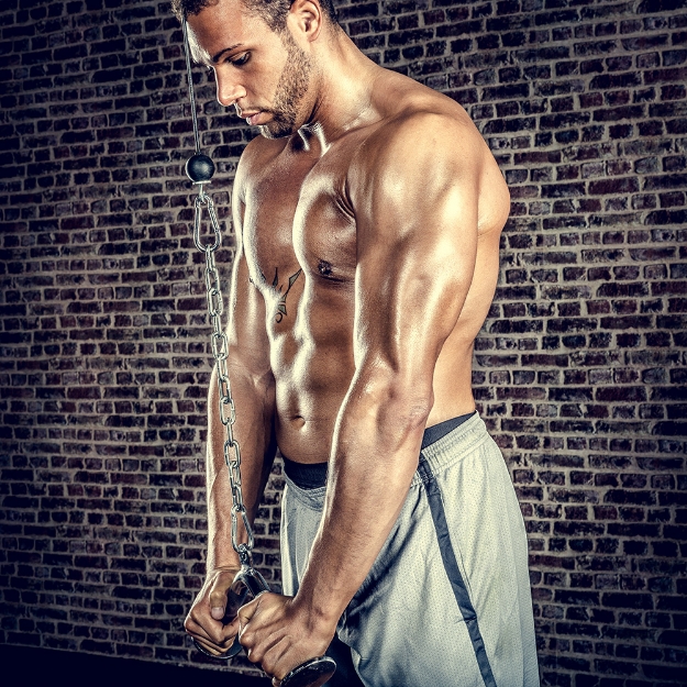 Poza cu Maner triceps ingust in forma V - G-2016