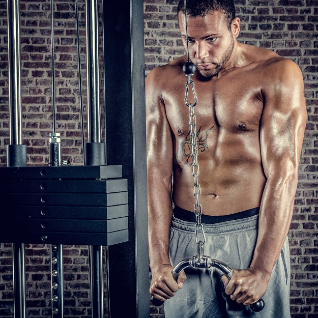 Poza cu Trizepsgriff in V-Form cu capete de protecție – G-2012