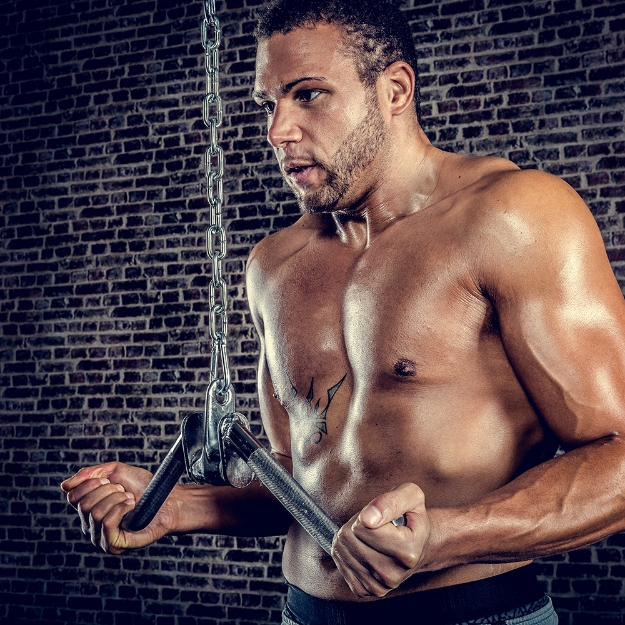 Poza cu Triceps / Curl mâner, ușor curbat, 50 cm