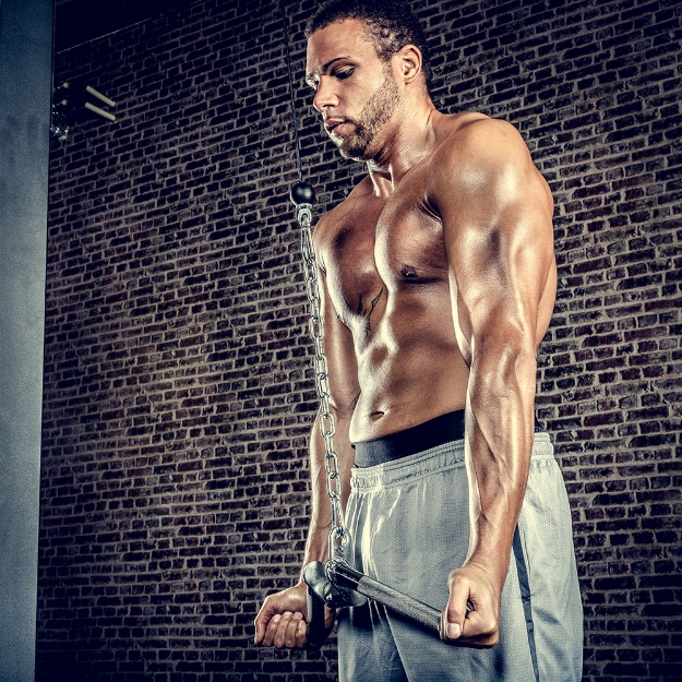 Poza cu Triceps / Curl mâner, ușor curbat, 50 cm