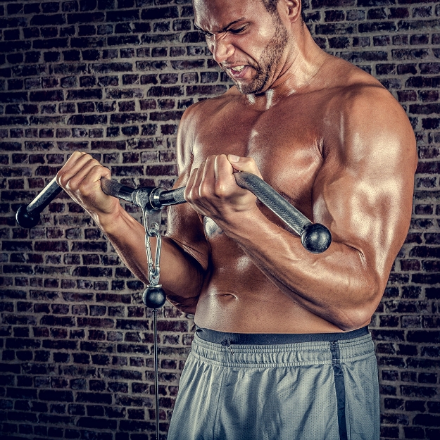 Poza cu Mâner SZ aproximativ 75 cm cu capete de protecție