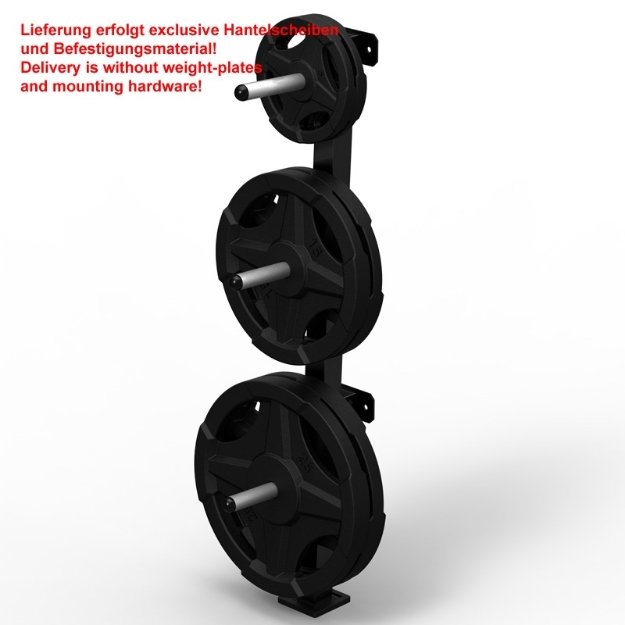 Poza cu Suport de perete pentru discuri - Plate Tree Wall 30 mm