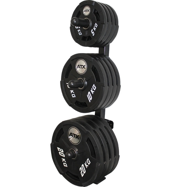 Poza cu Suport perete pentru discuri de greutăți Ø 50 mm - Plate Tree Wall 50 mm Megafitness Shop