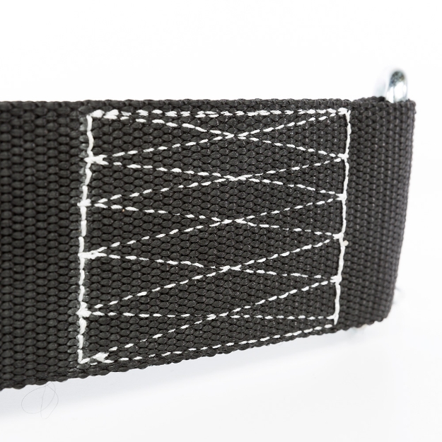 Poza cu ATX® - Centură pentru tracțiuni și flotări din nylon