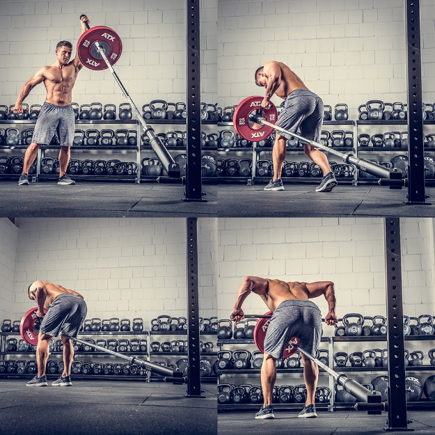 Poza cu ATX® Universal Core Trainer Landmine - Accesoriu multifunctional pentru rack