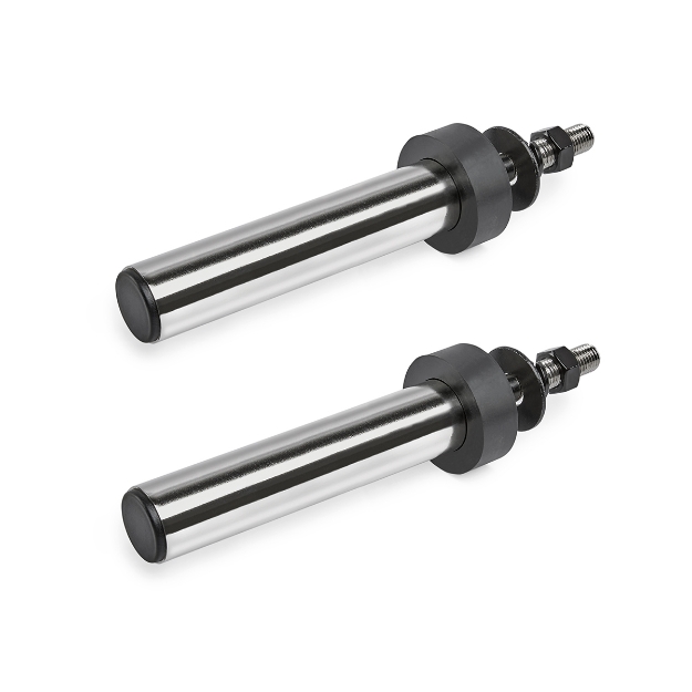 Poza cu ATX Weight Plate Pins - 220 - 50 mm / Set