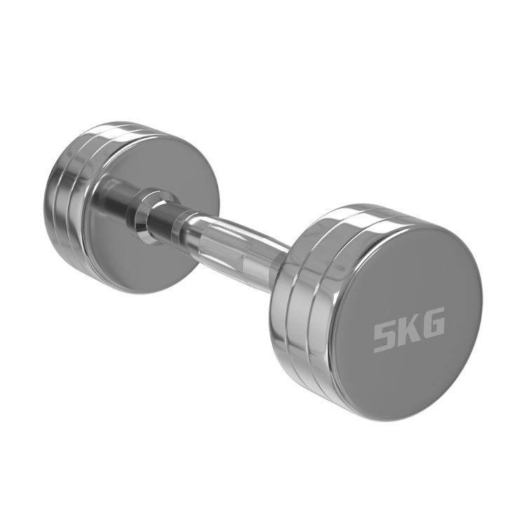 Poza cu Gantere Cromate Profesionale –  Fitness Premium 1-10kg