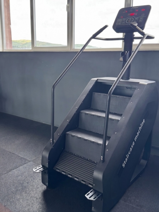 Poza cu Scară fitness profesională OK9128, TheWay Fitness