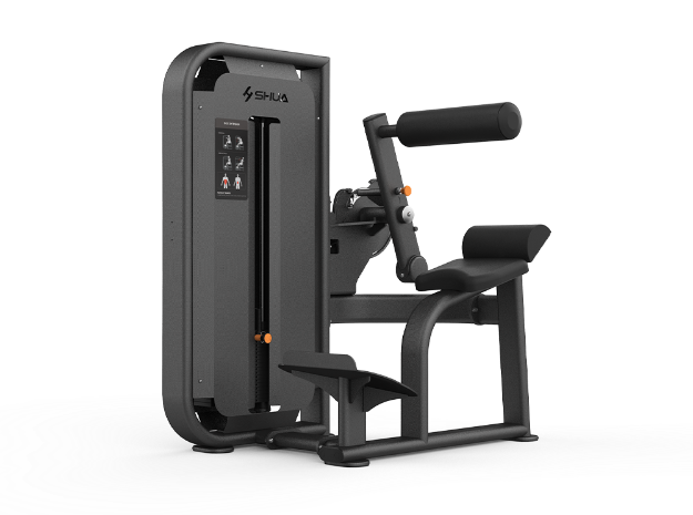 Poza cu Aparat Back Extension Profesional SHUA SH-G6817
