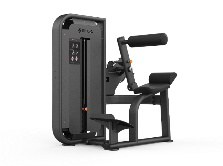Poza cu Aparat profesional Back Extension SHUA SH-G6817 – Extensii pentru zona lombară seria 68 Core