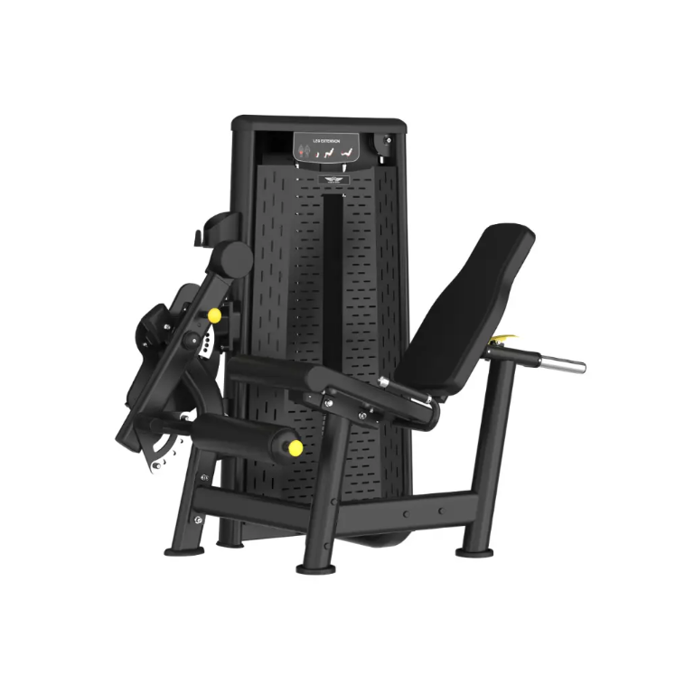 Poza cu Aparat extensie picioare, ASN-014,TheWay Fitness