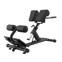 Poza cu Banca lombari pentru hyperextensia spatelui, TheWay Fitness