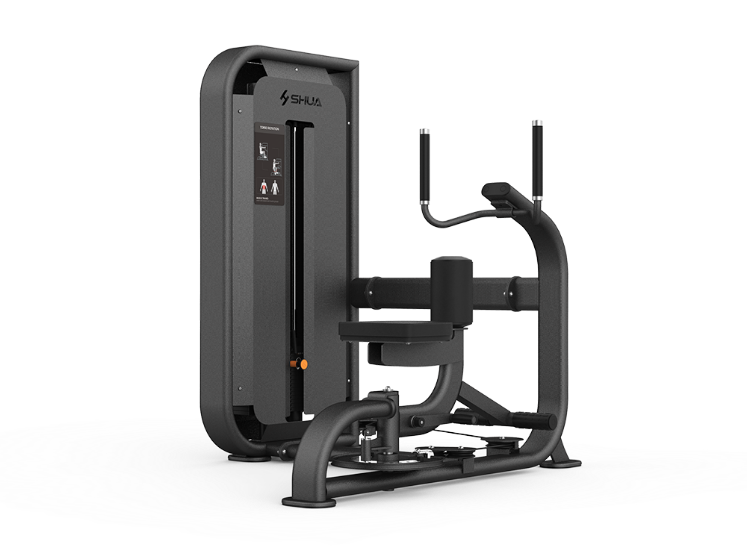 Poza cu  Torso Rotation – Aparat Profesional pentru Abdomen și Core, SH-G6818, SHUA