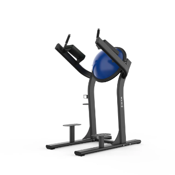 Poza cu Aparat Profesional pentru Ridicări de Picioare și Exerciții Core cu BOSU Integrat SHUA SH-G6386