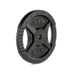 Poza cu Disc ATX® 2 Grip - Fontă 30 mm - 0,5 kg - 25 kg