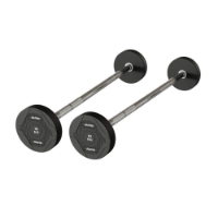 Poza cu Bare Fixe drepte cu greutati 10 - 30 kg, TheWay Fitness